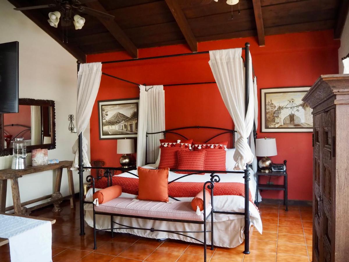 Suite Terrace