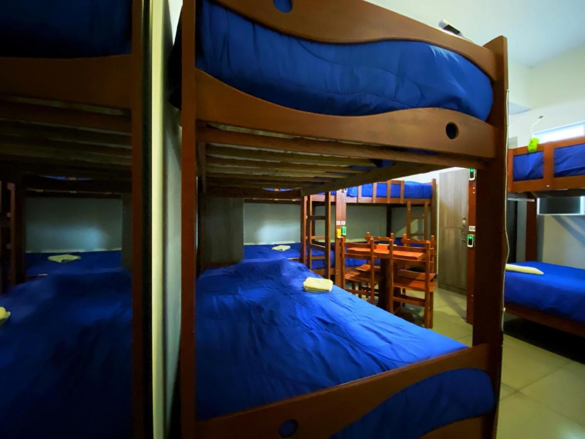 Bed 8-Bed Mixed Dormitory Room