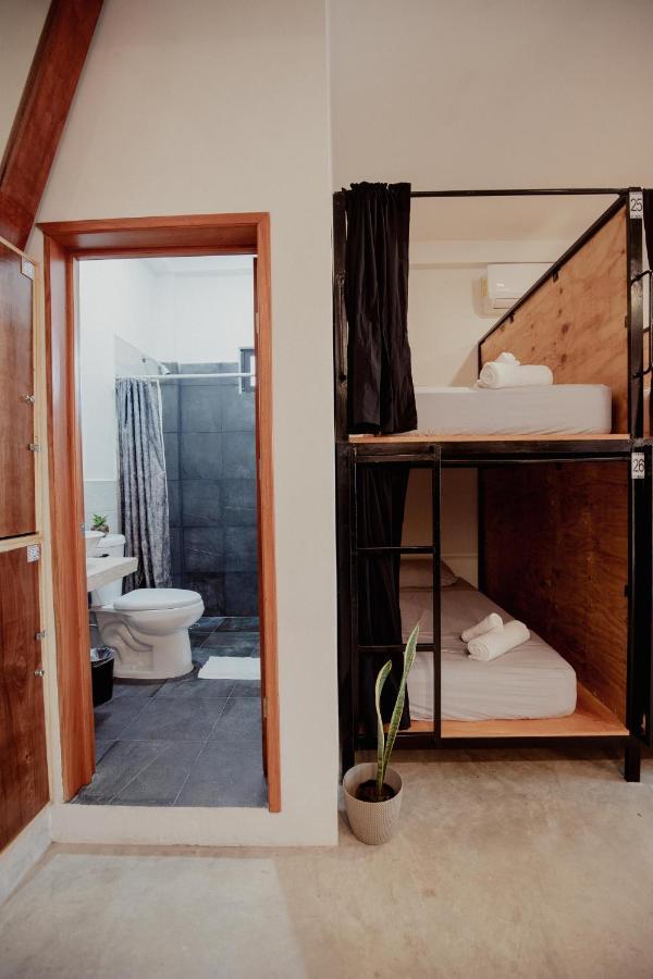 Bunk Bed in Mixed Dormitory Room