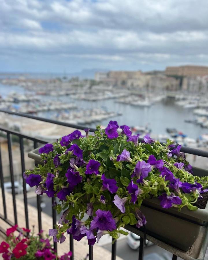 Apartment Terrace