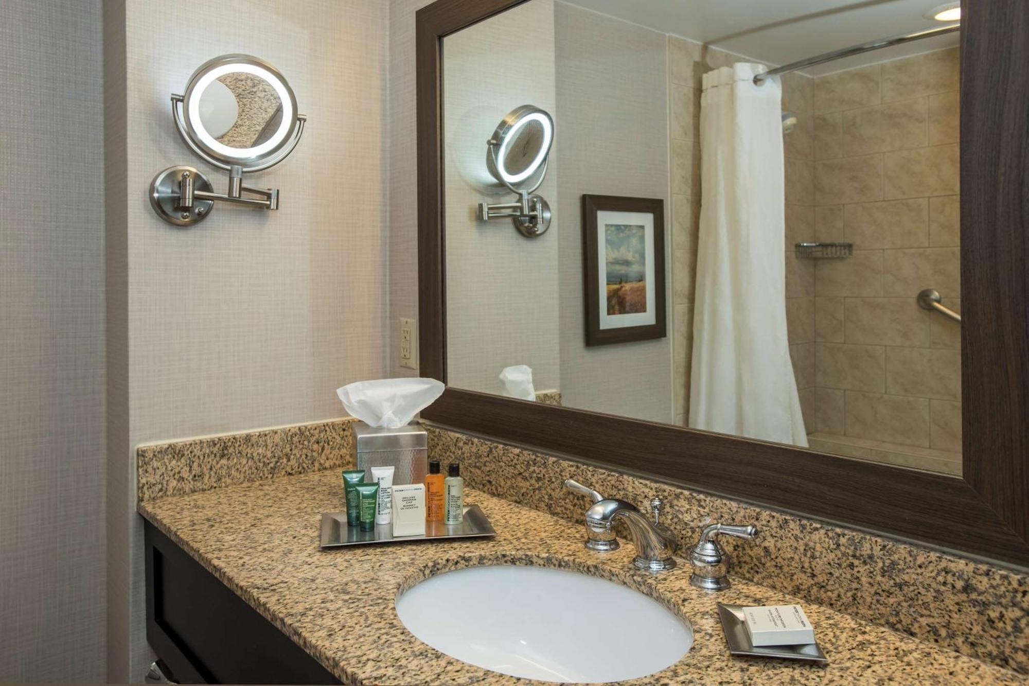 One-Bedroom King Suite