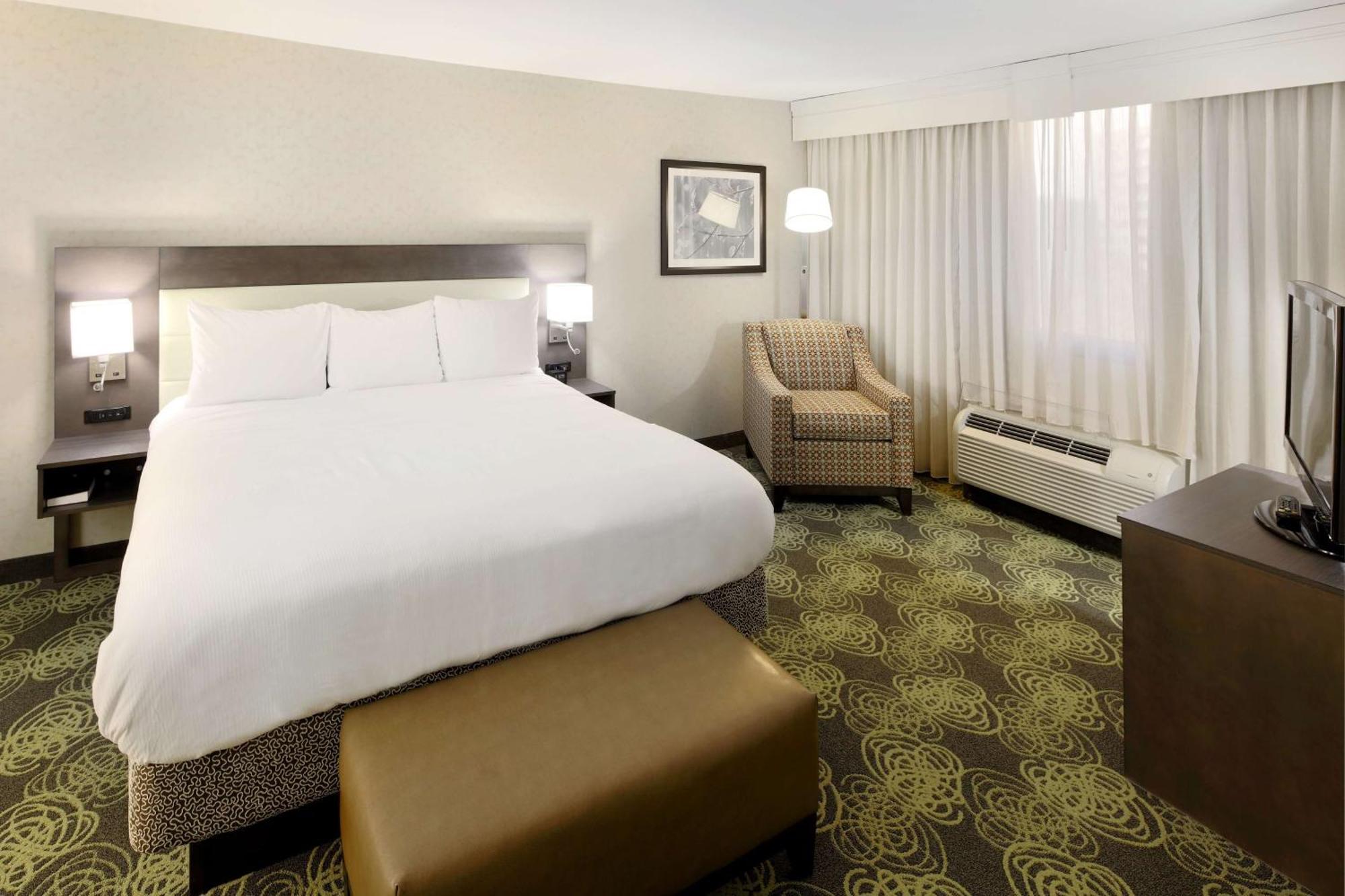 King Room,1552318378:JPEG
