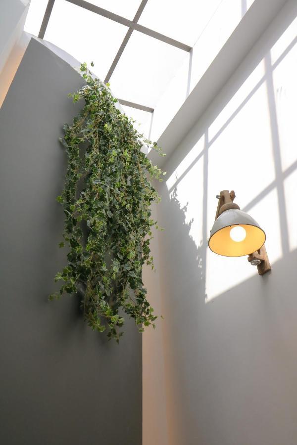 Apartment Terrace