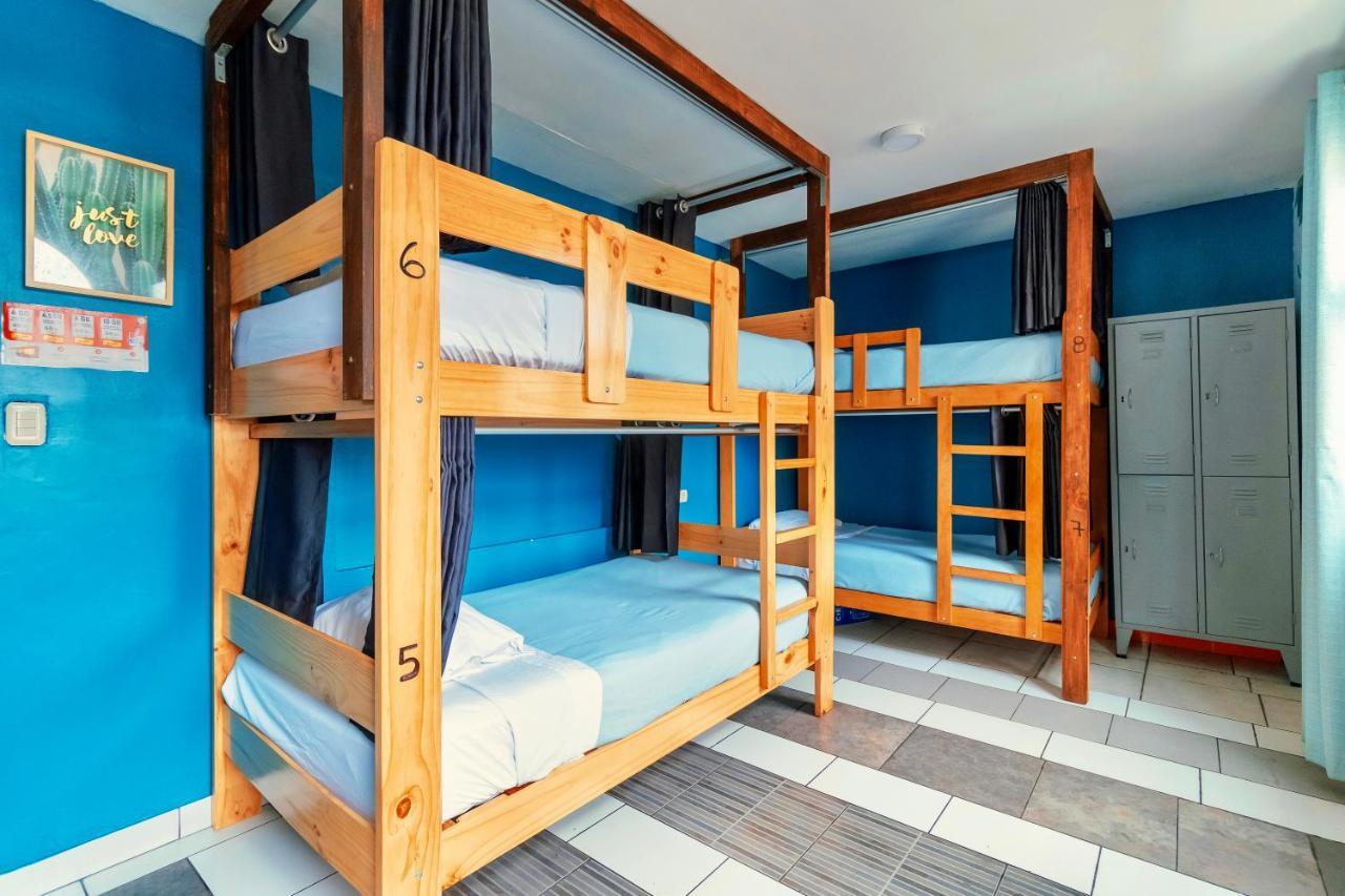 Bed 8-Bed Mixed Dormitory Room