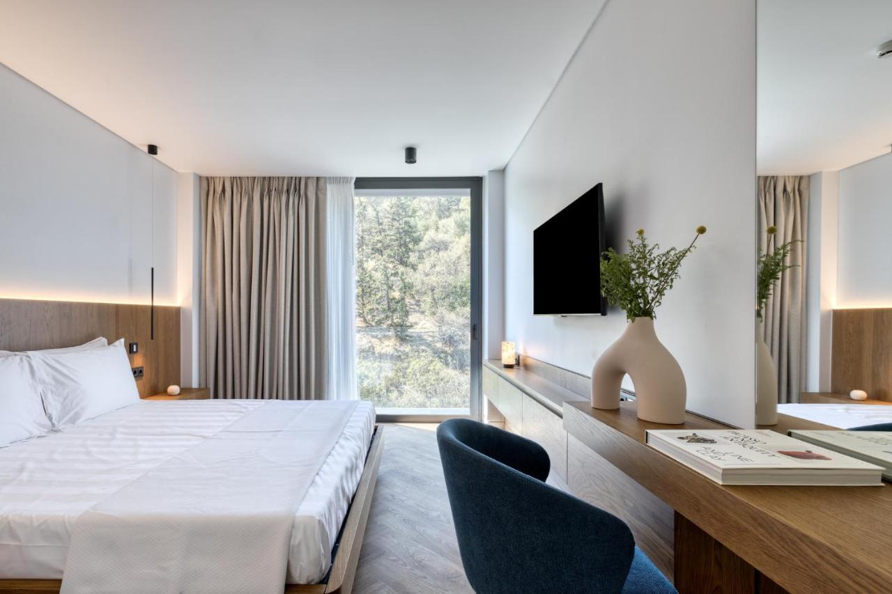 Superior Double Room Hill View