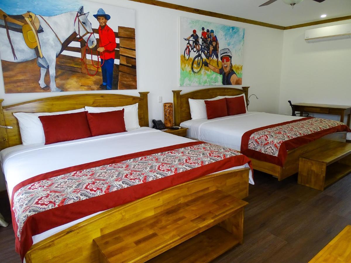 Suite Mountain View