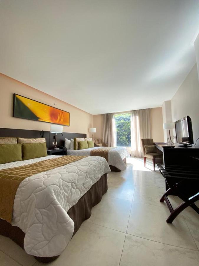 Standard Studio Two Beds
