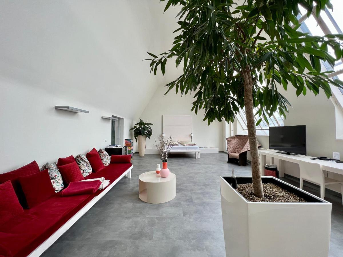 Studio Terrace
