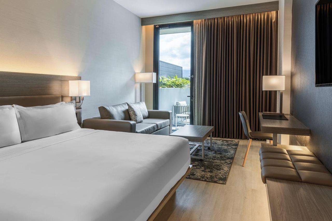 King Room Mountain View Terrace Level