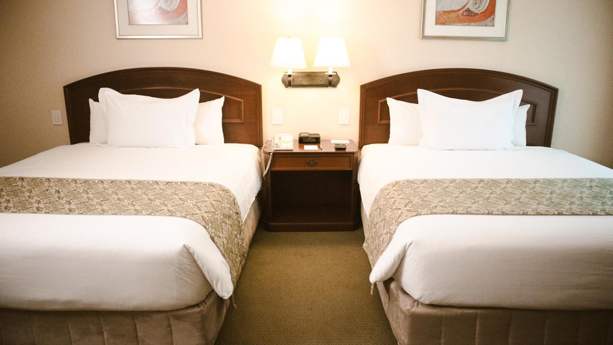 Premium Twin Room