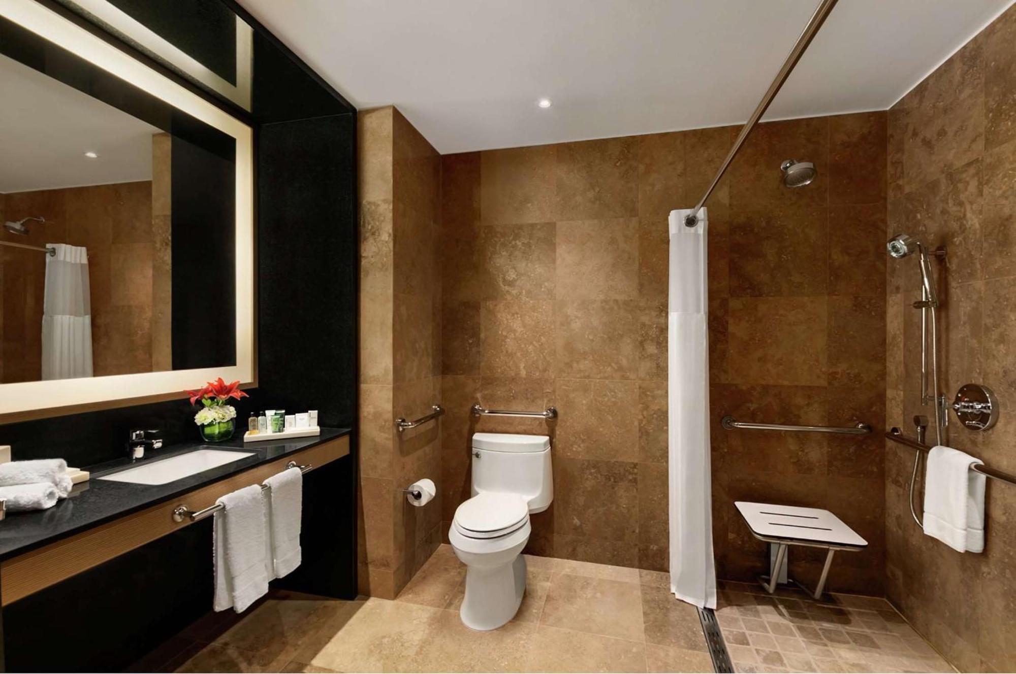 King Room Disability Access