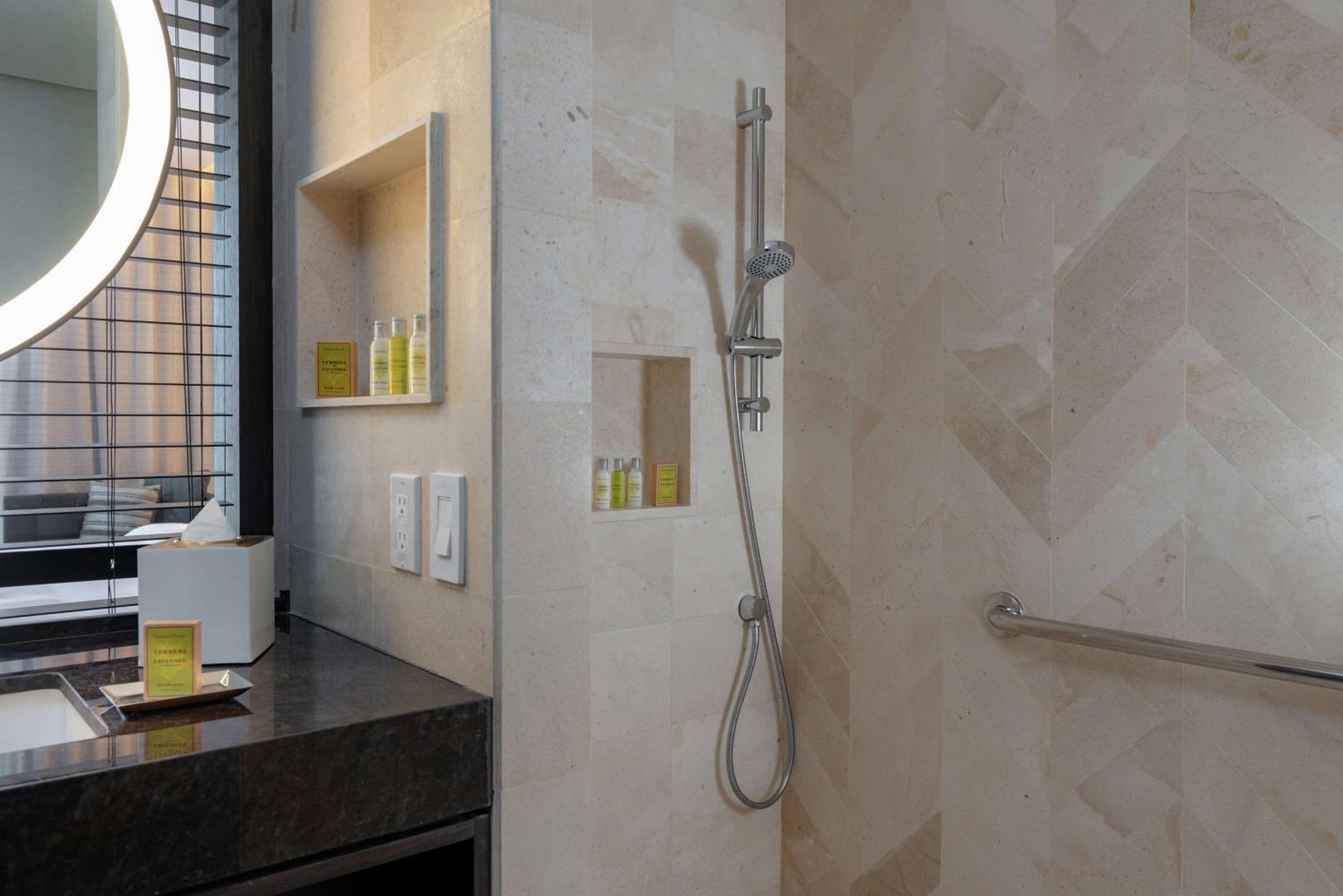 King Room Roll Shower Mobility Access