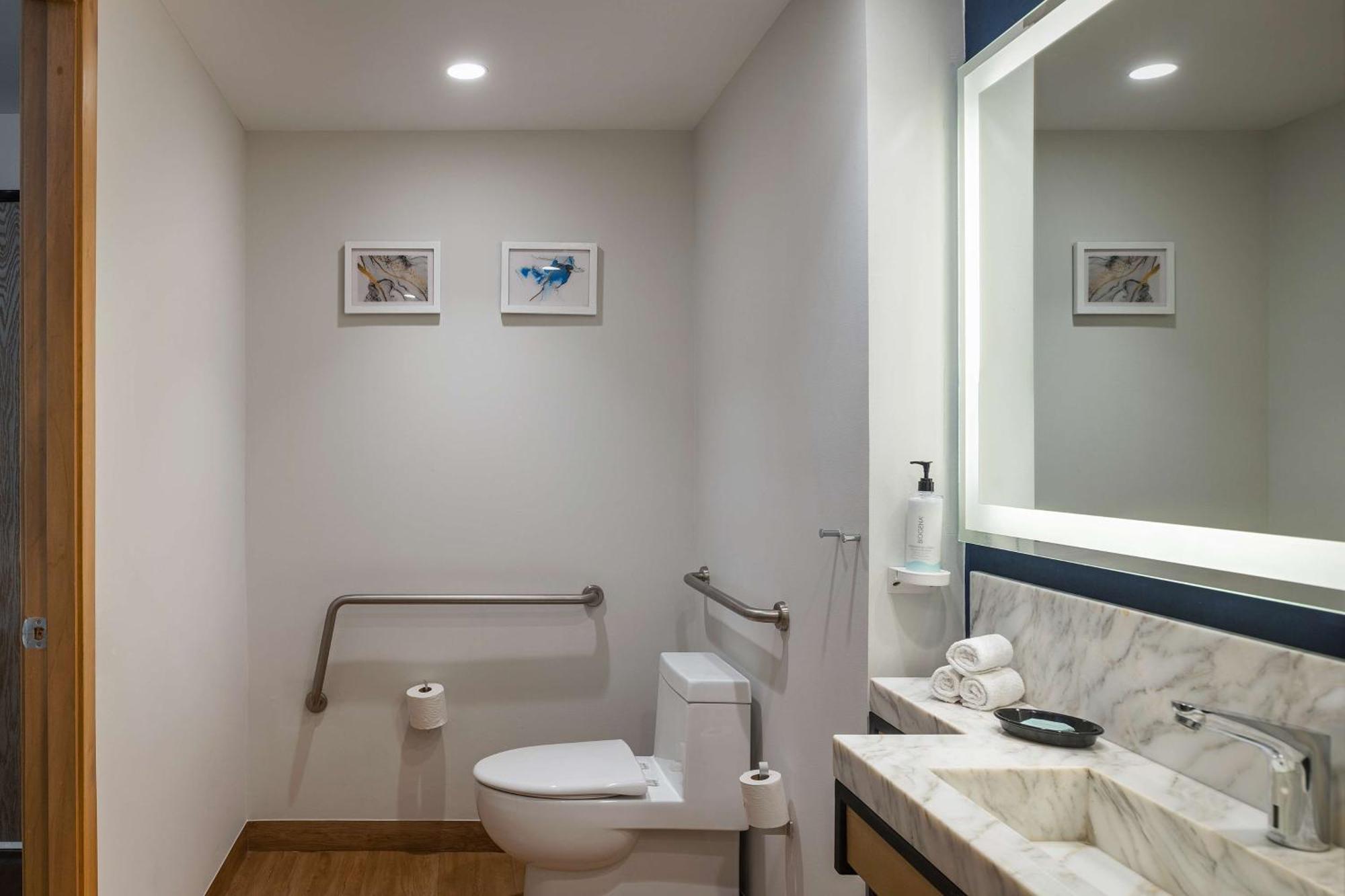 King Room Roll Shower Mobility or Hearing Accessible