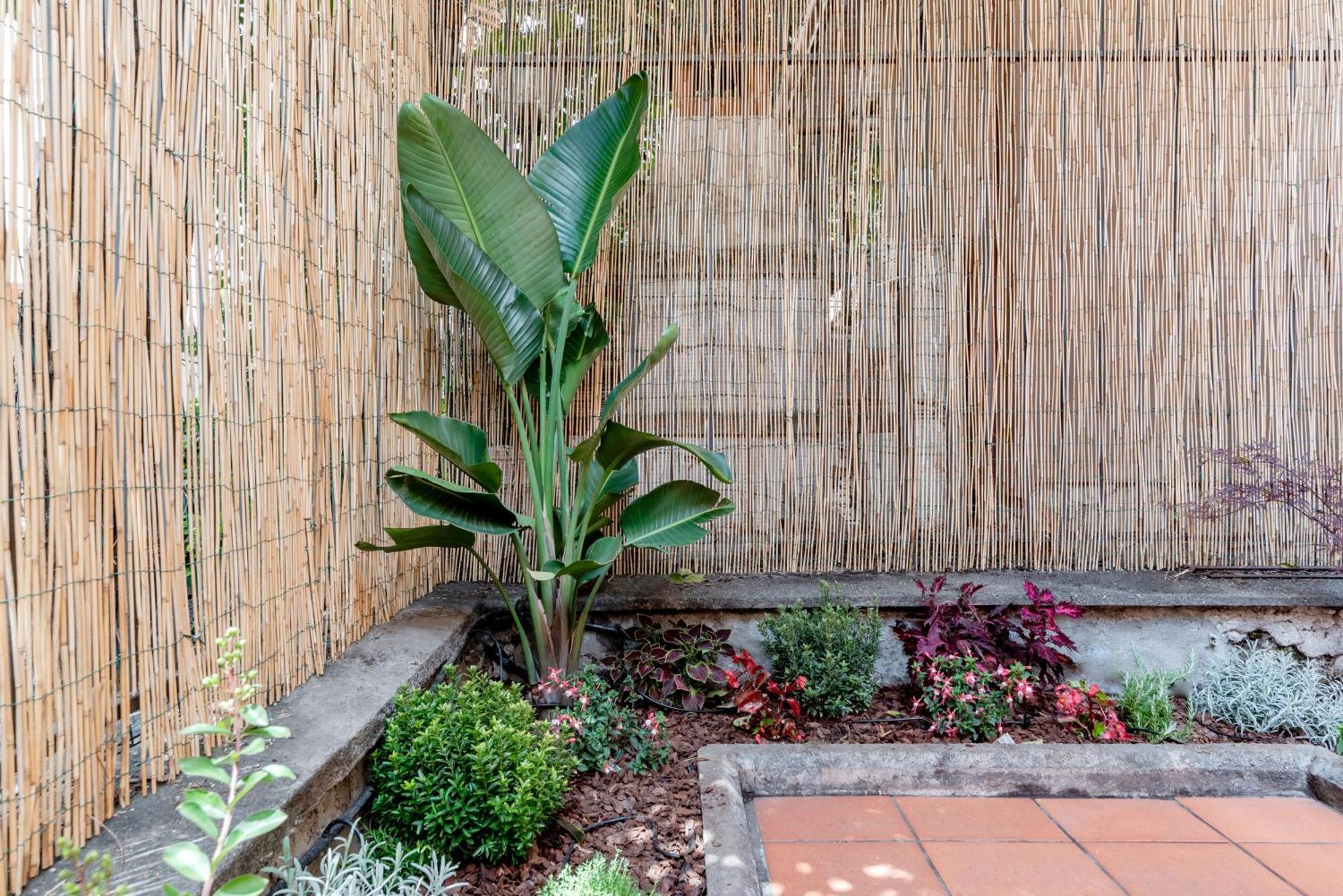 Quadruple Room Garden View