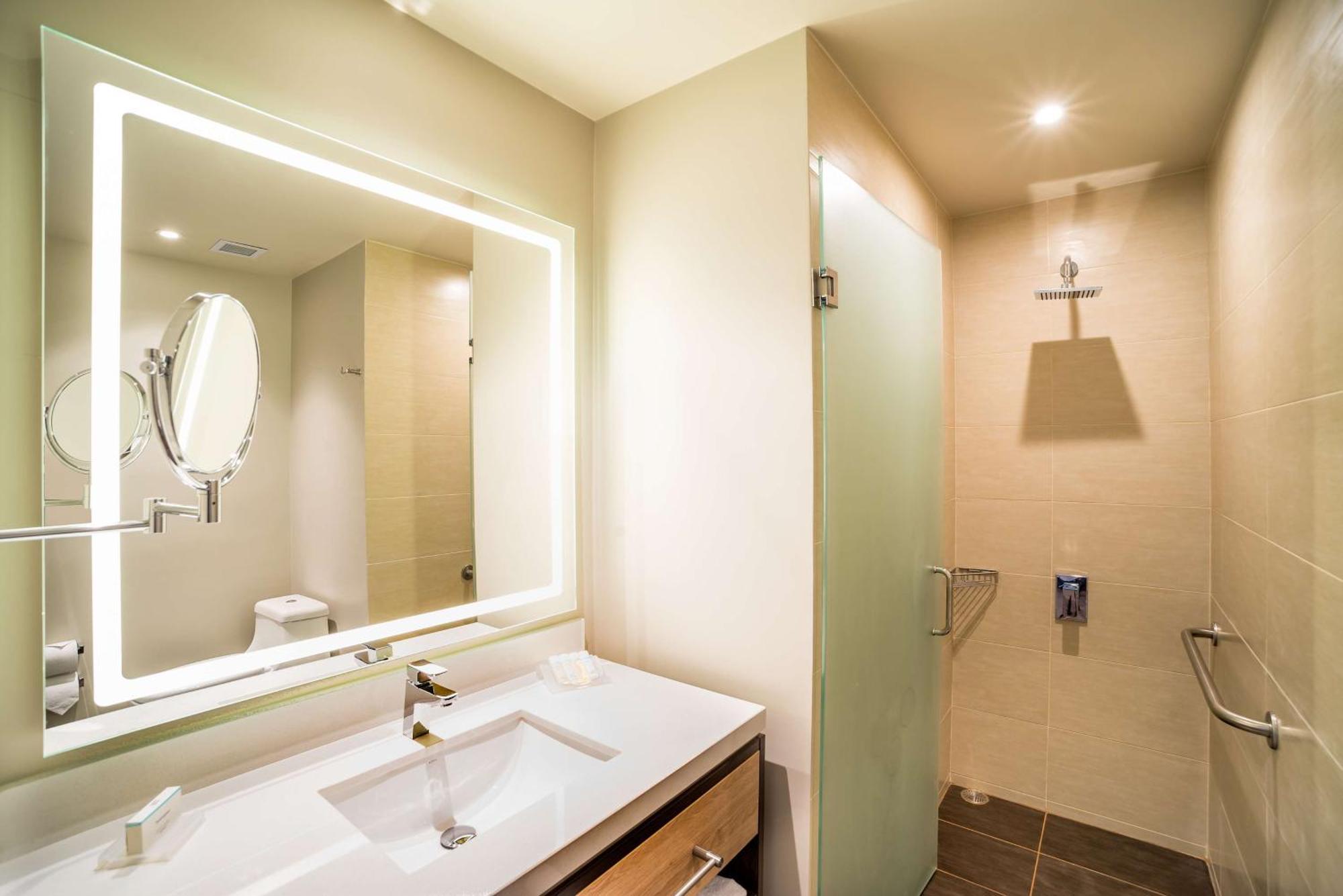 One-Bedroom King Suite