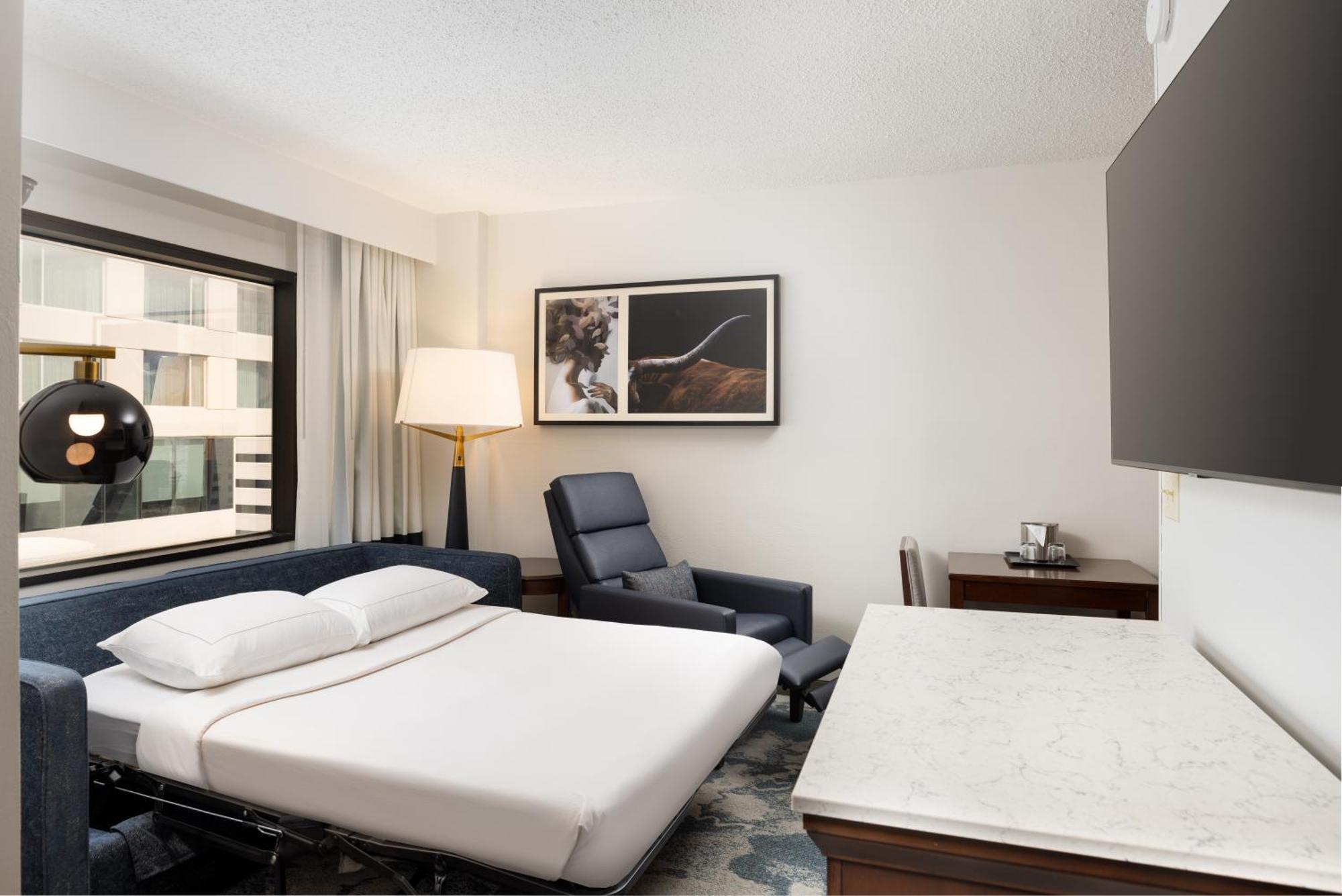 Junior King Suite with Sofa Bed and Kitchen