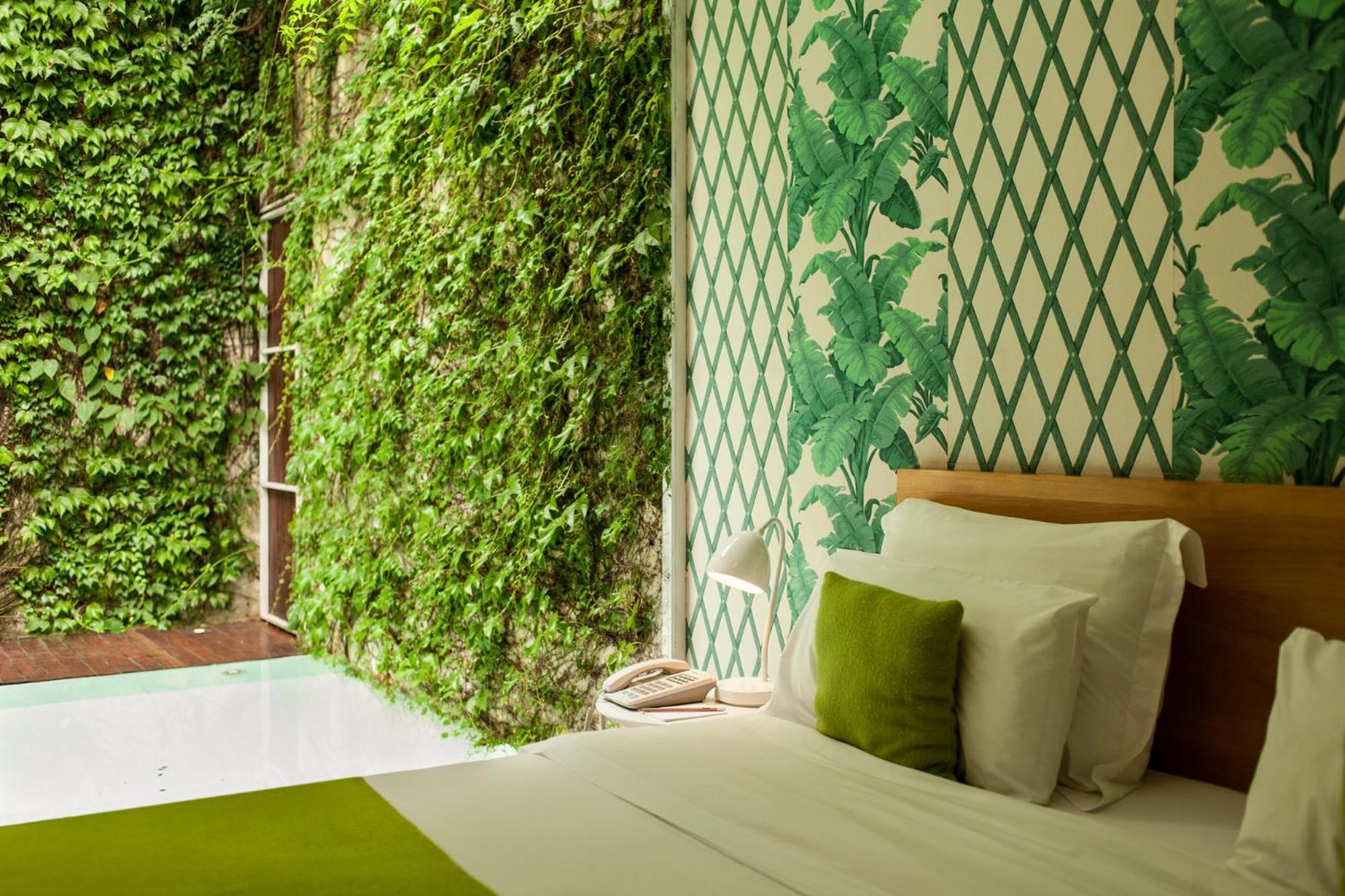 Suite Garden View