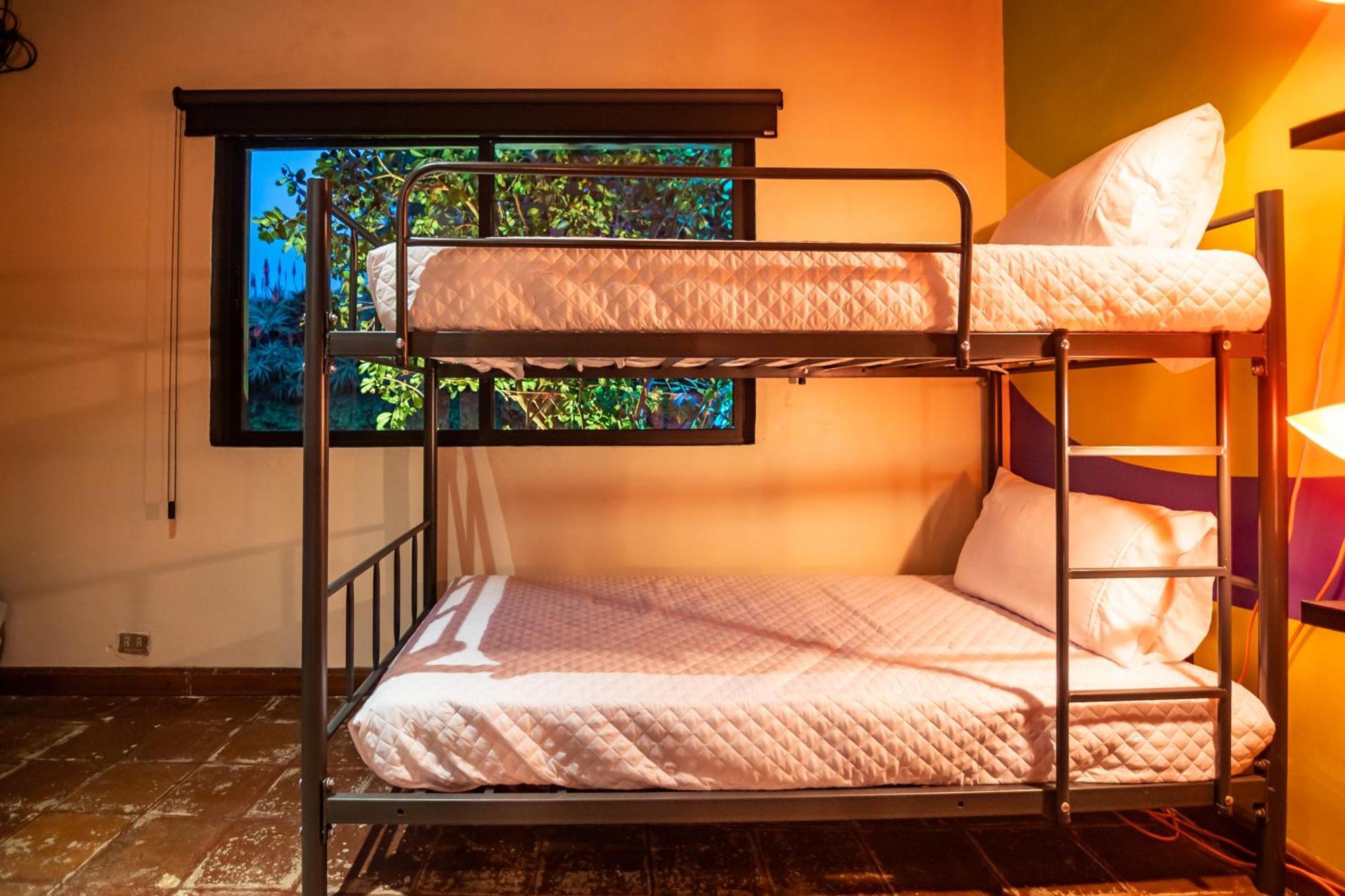 Single Bed 6-Bed Mixed Dormitory Room