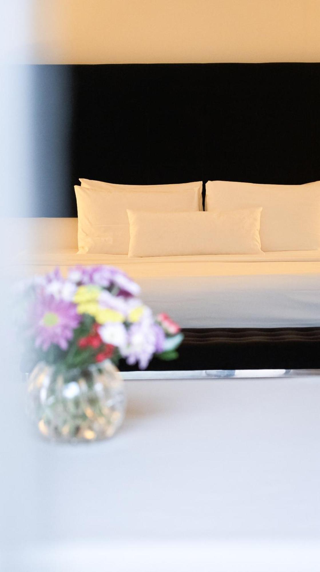 Superior King Suite