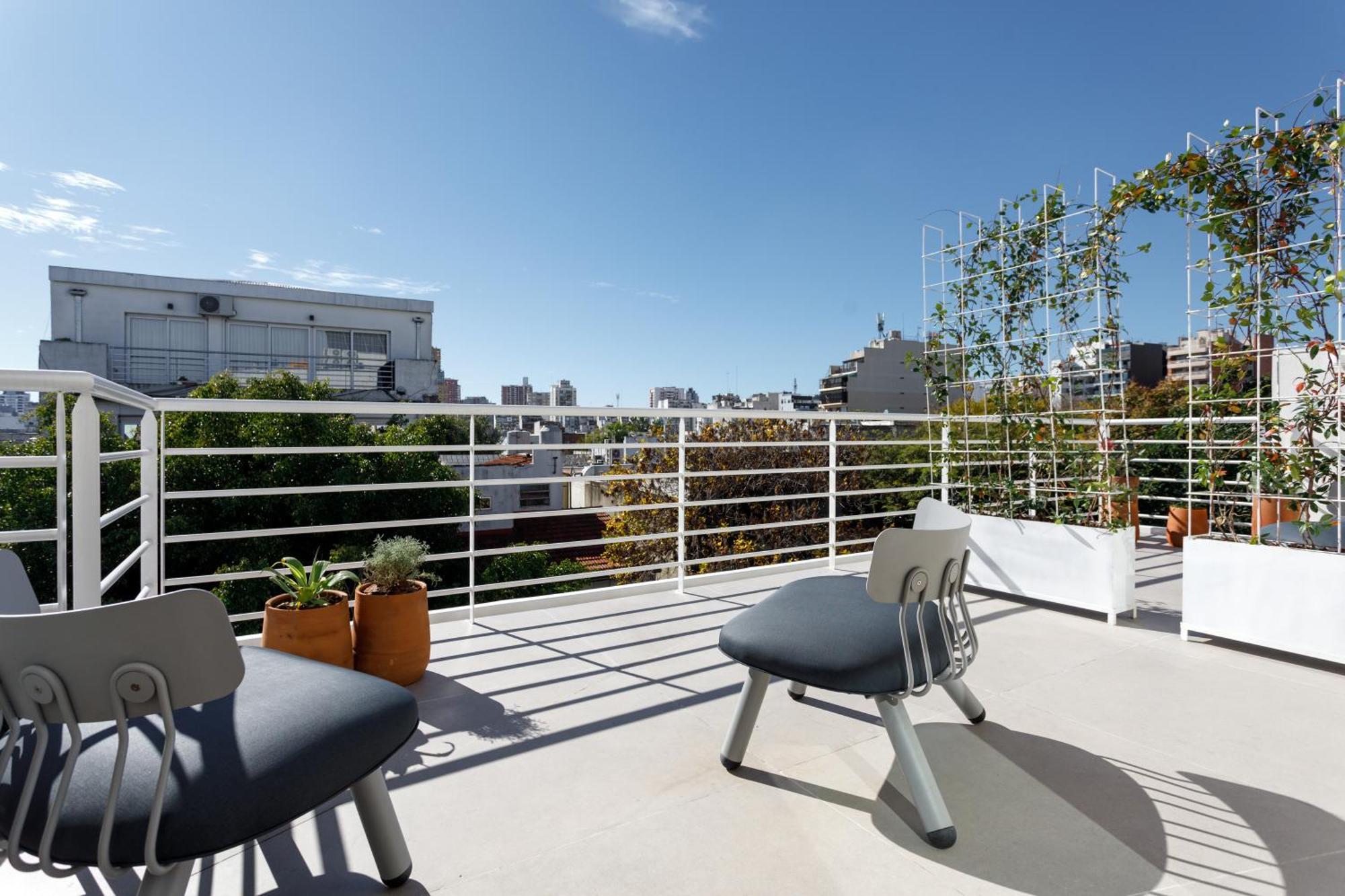 Suite Terrace