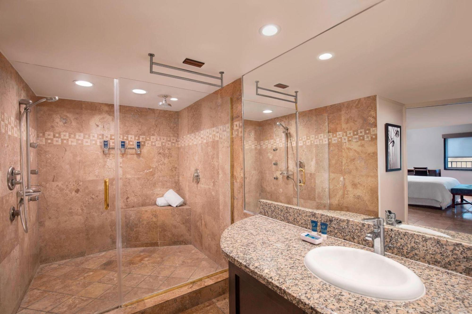 King Suite Pool View Mobility Accessible Roll Shower