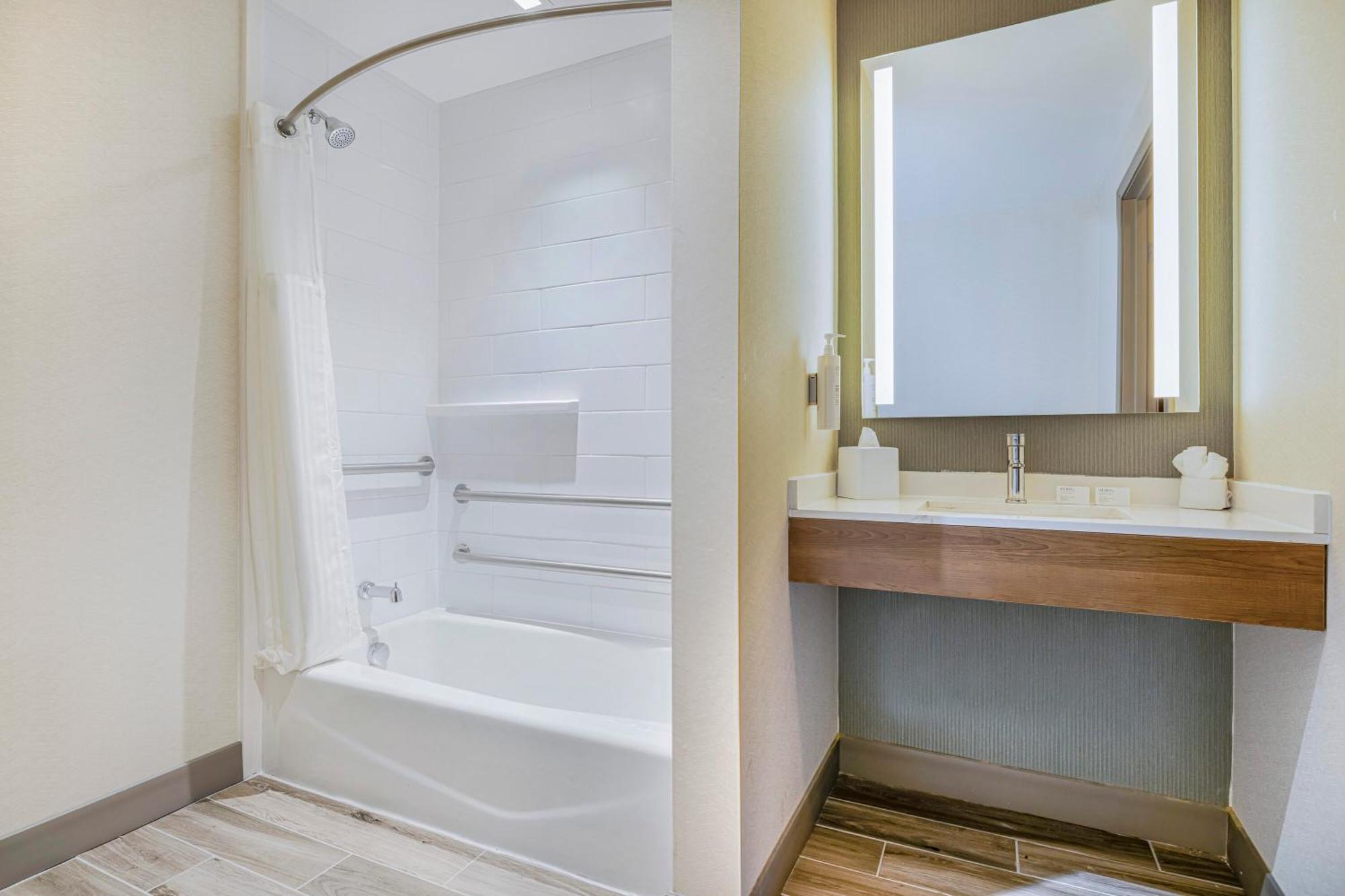 King Room Bath Tub Mobility Access