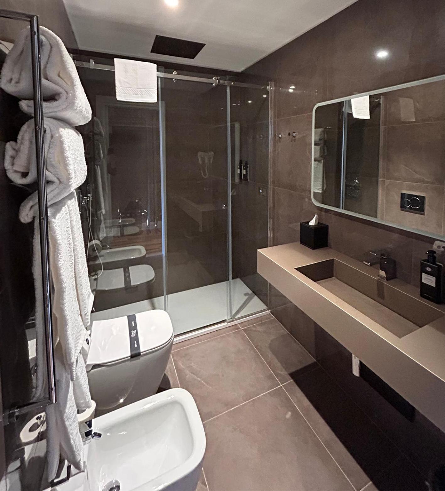 Superior Double or Twin Room Terrace