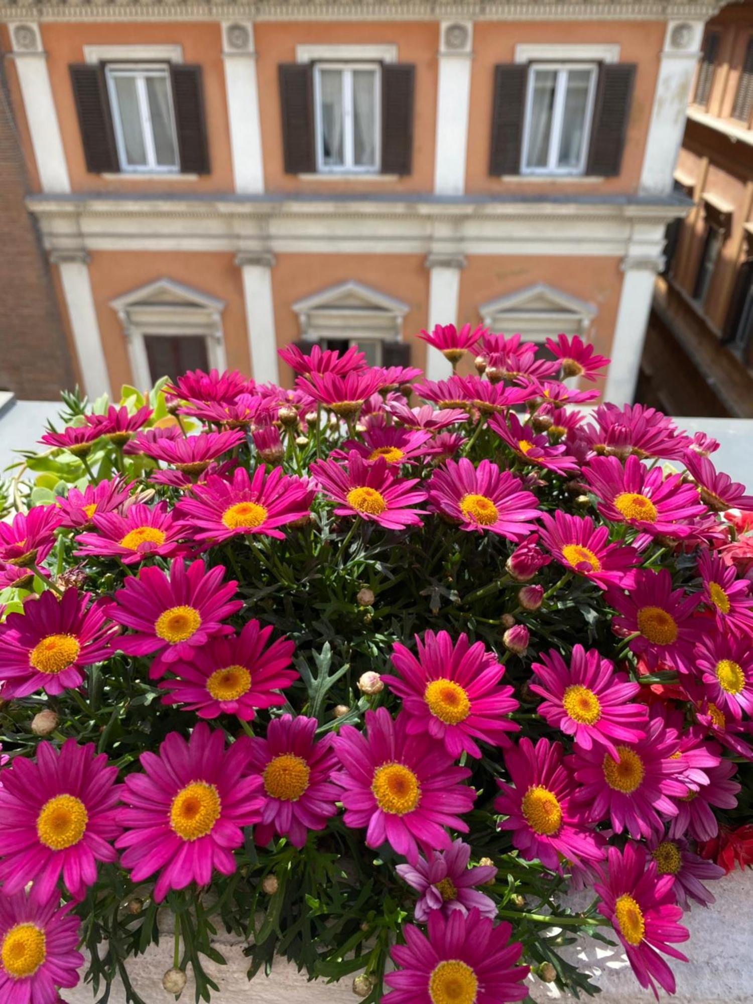 Presidential Suite Terrace