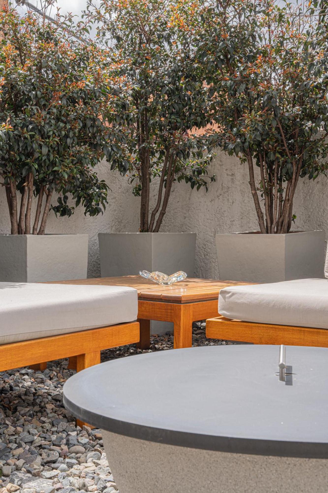 Suite Terrace