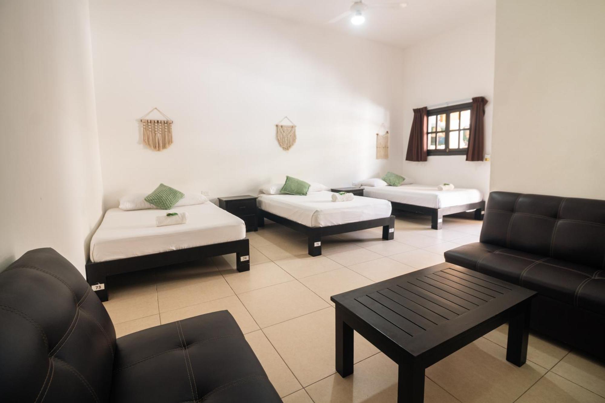 Standard Suite