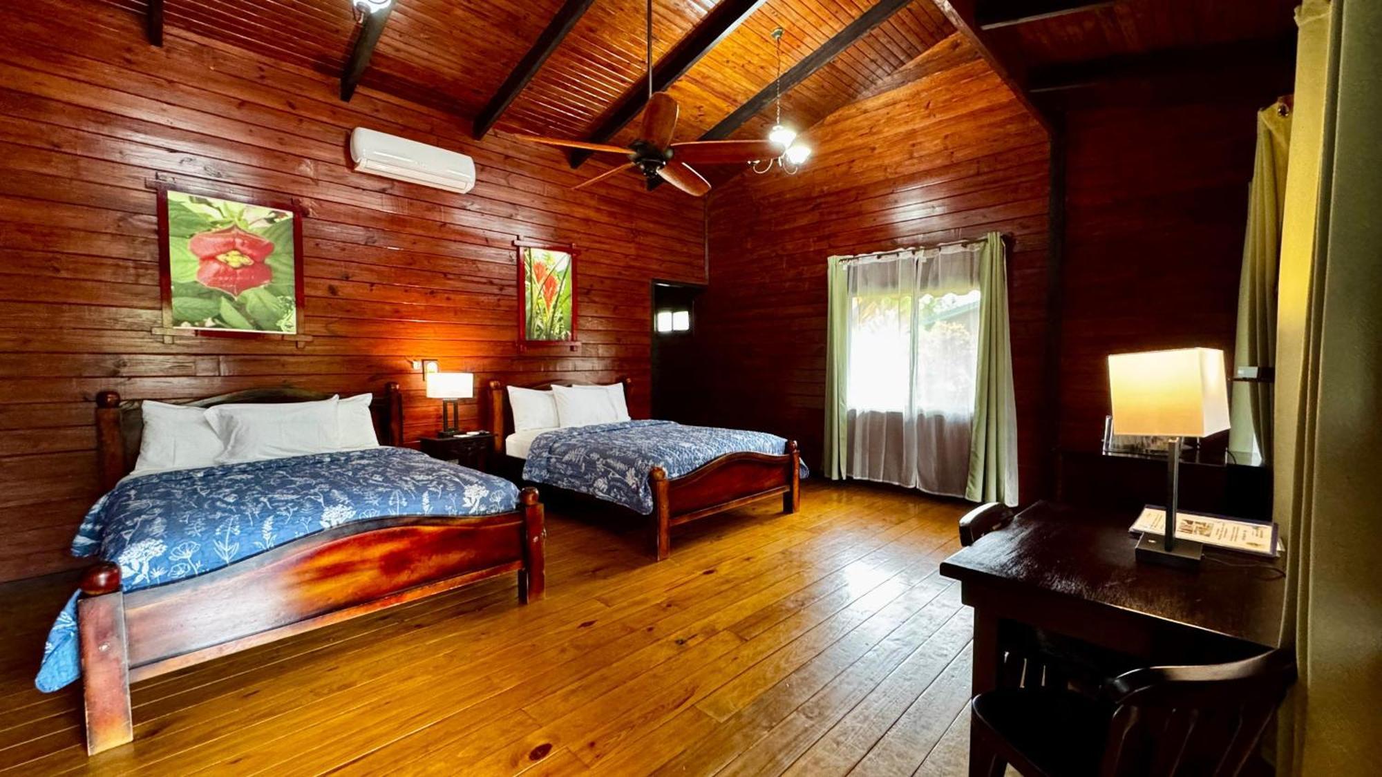 Superior Queen Room