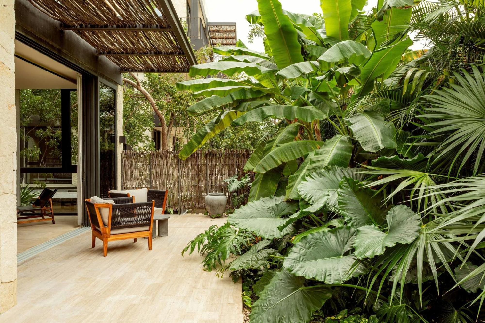 Premium 2 bedroom apartment 1 bathroom & plunge pool