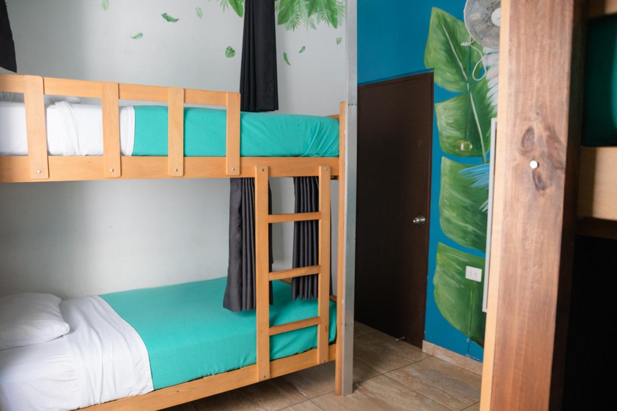 Bed 4-Bed Mixed Dormitory Room