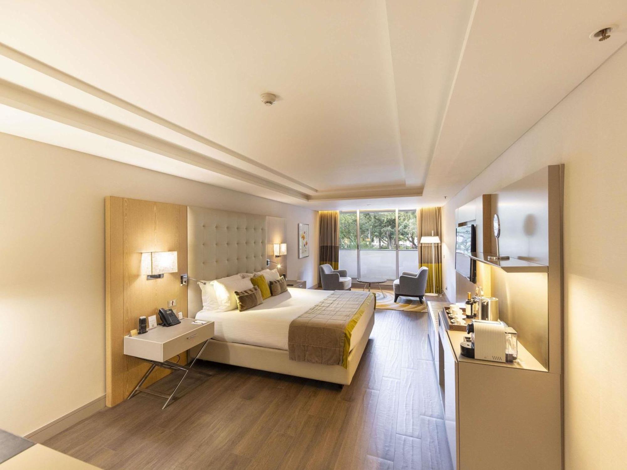 Deluxe King Suite Park View Mobility Accessible