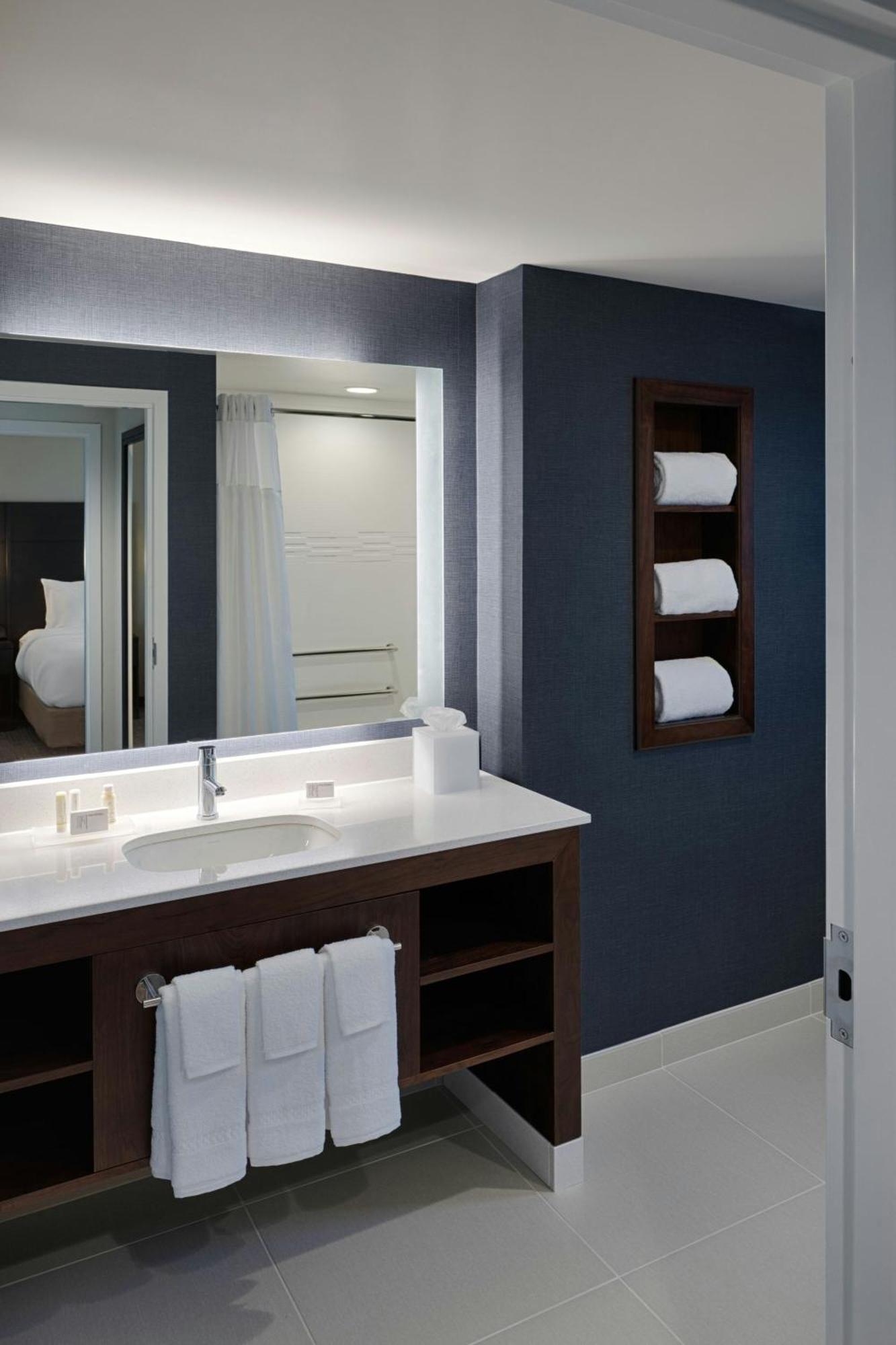 One-Bedroom King Suite Sofa Bed