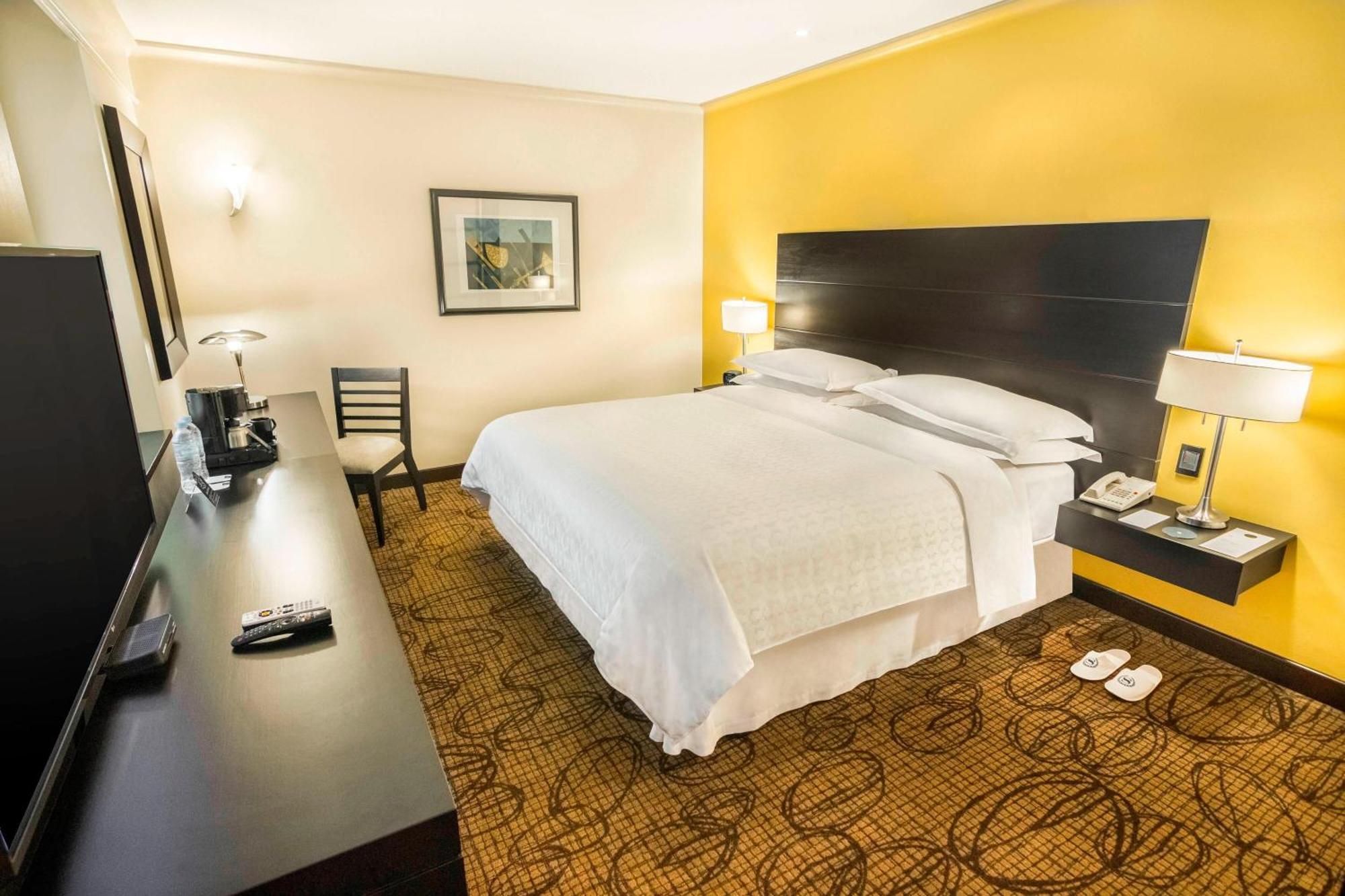 One-Bedroom King Suite Sofa Bed Club Access