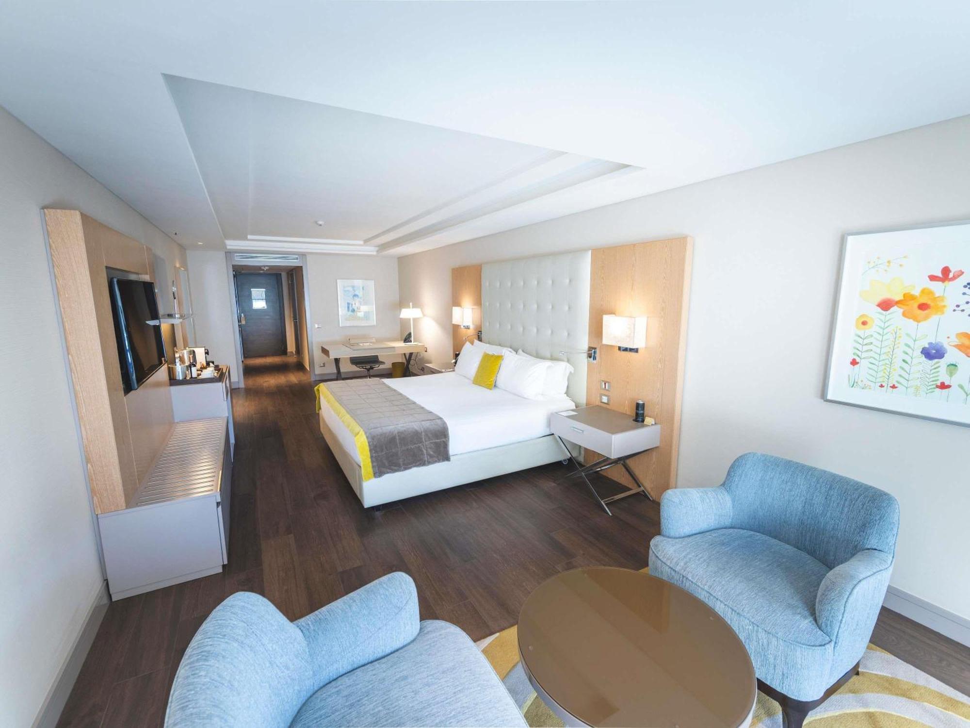 Deluxe King Suite Park View Mobility Accessible
