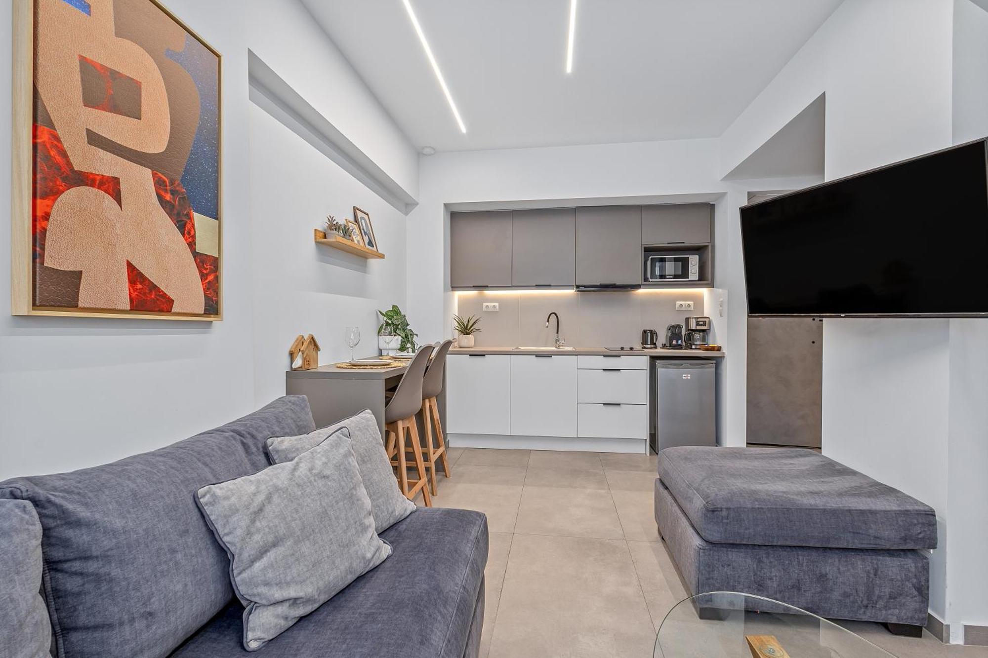 Deluxe One-Bedroom Apartment