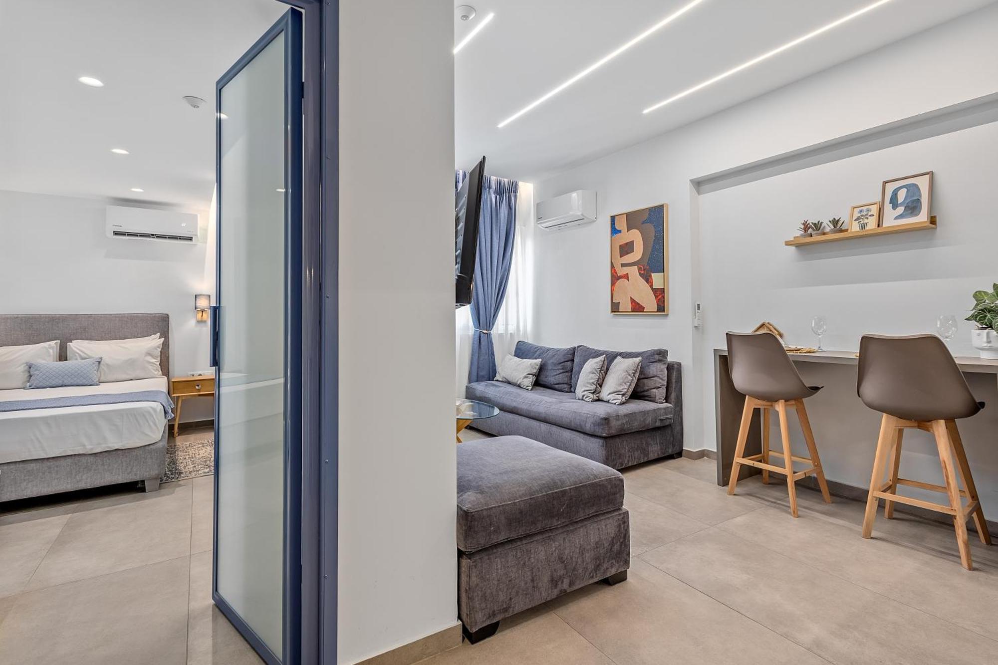 Deluxe One-Bedroom Apartment