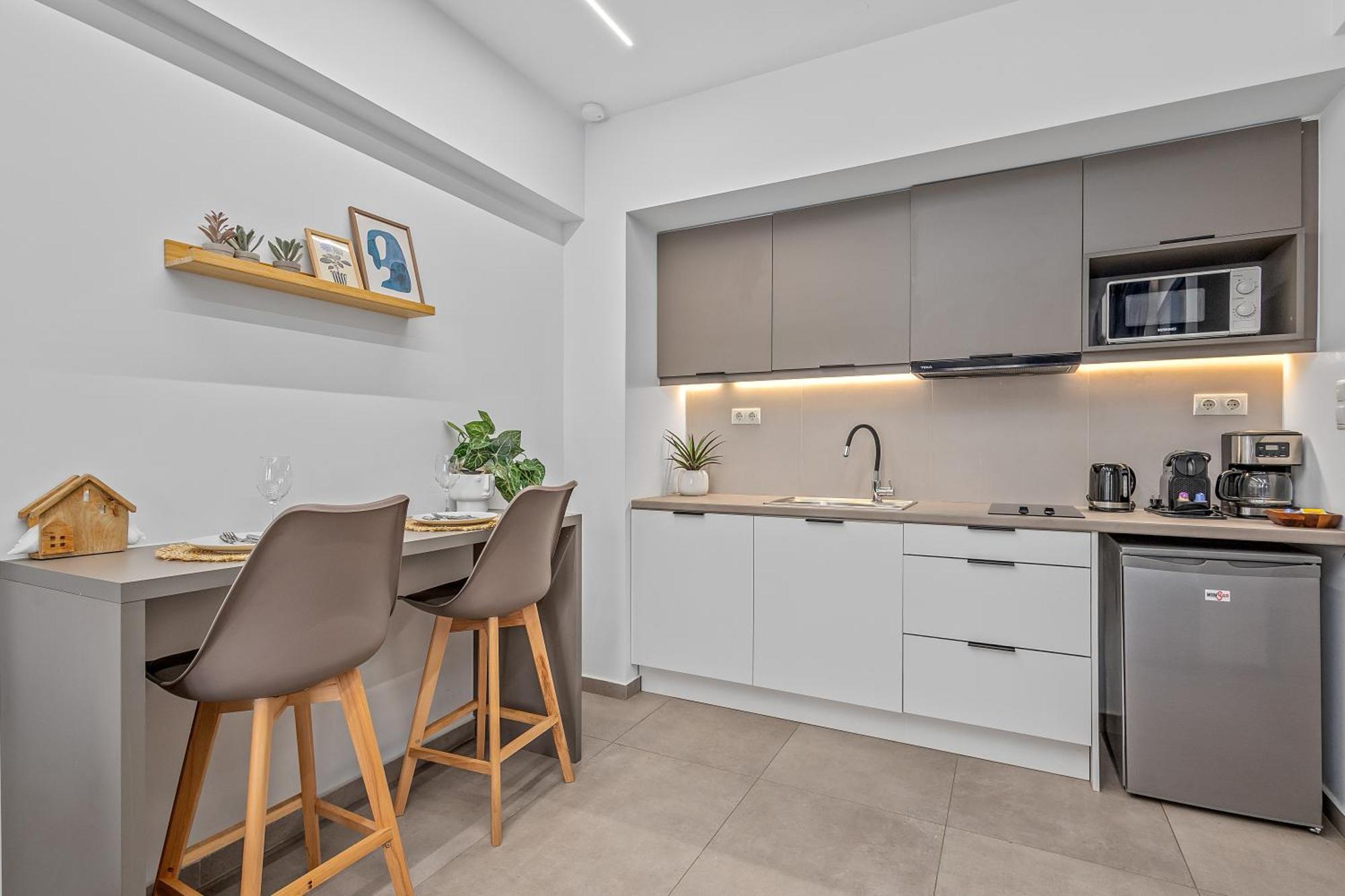 Deluxe One-Bedroom Apartment