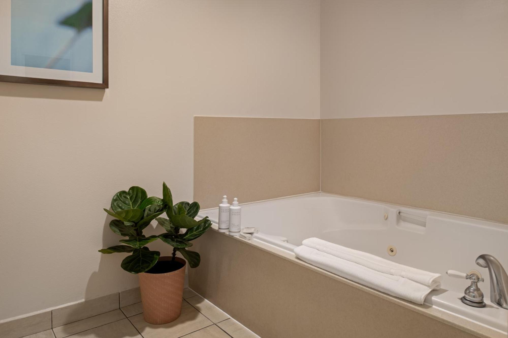 Executive One-Bedroom Suite