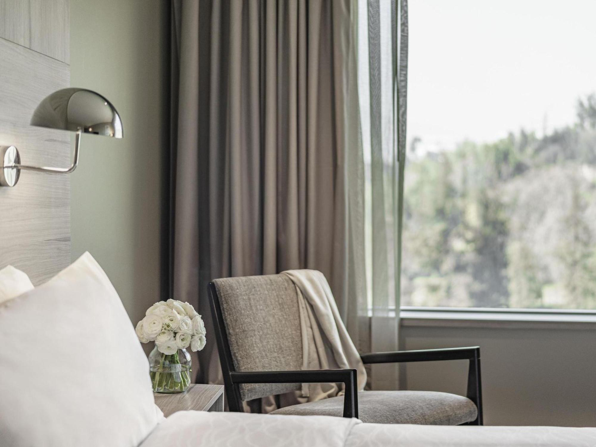 Deluxe King Room View