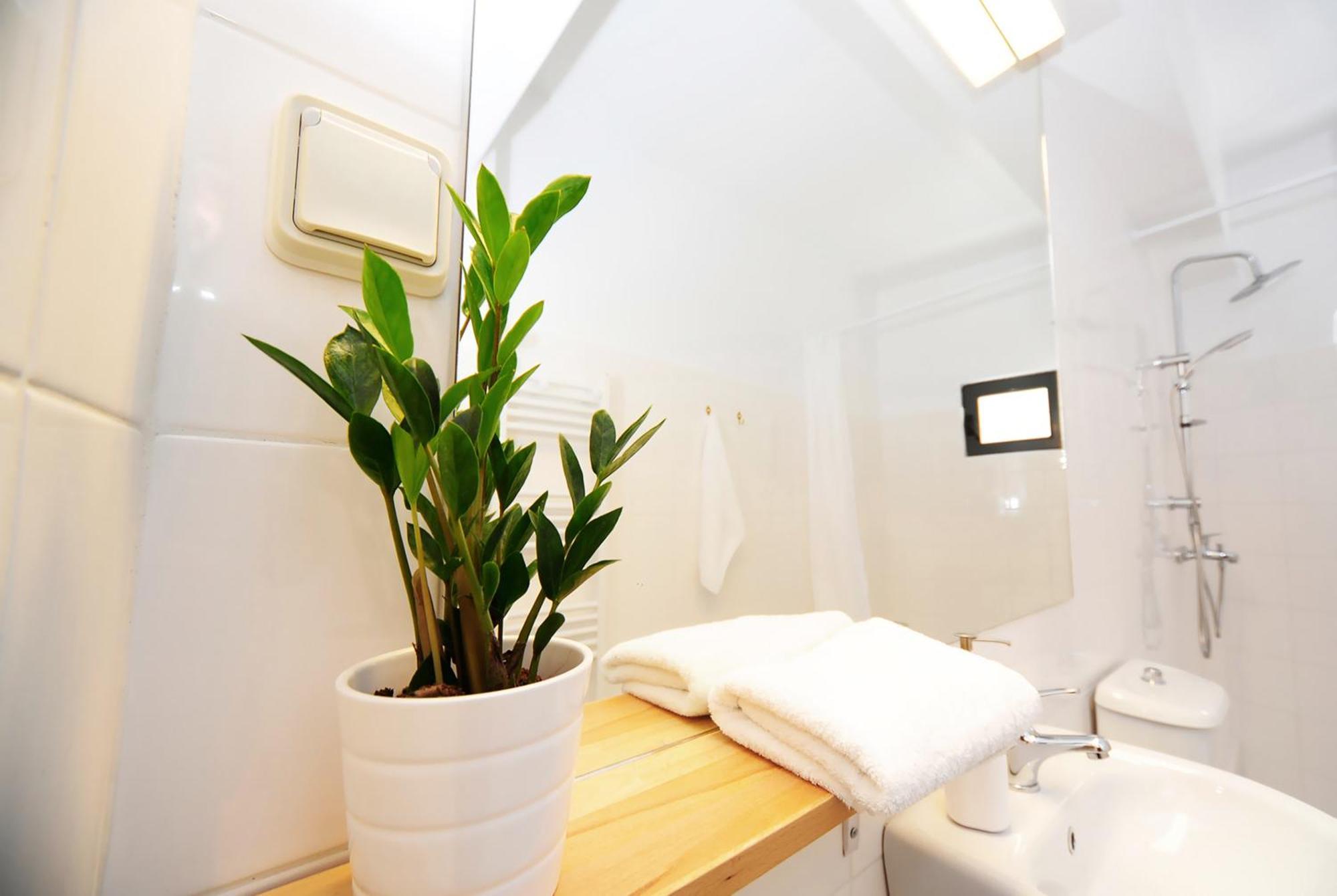 Apartment Open Plan Live Athens #07