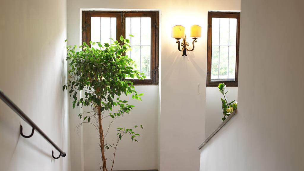Studio Terrace