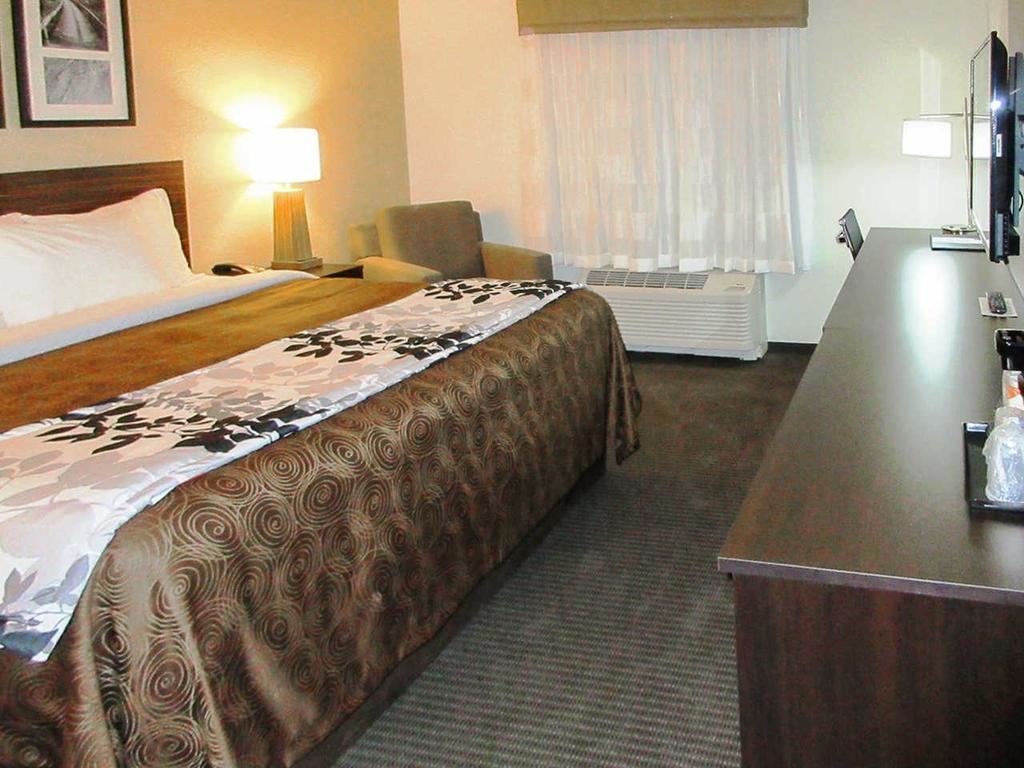 King Room,436581381:JPEG