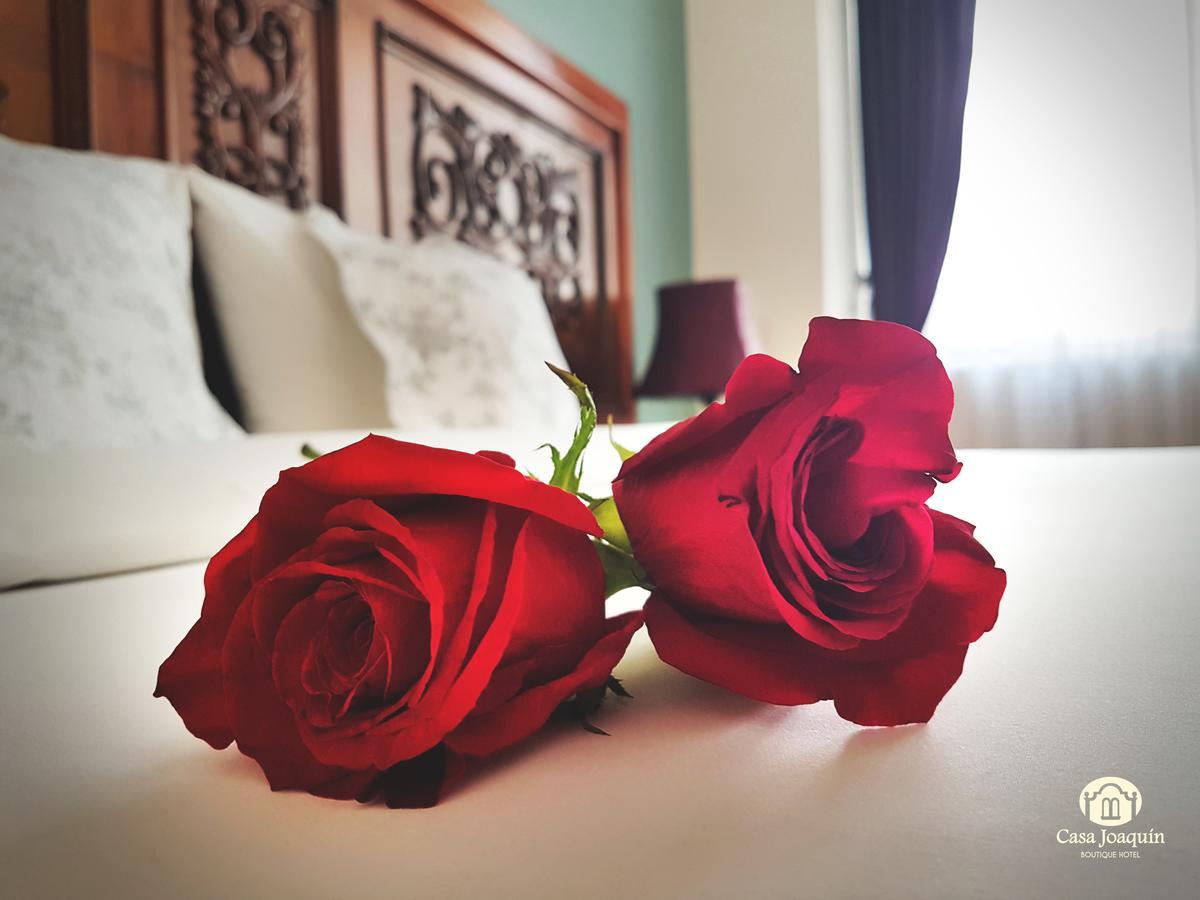 Charm Single Room