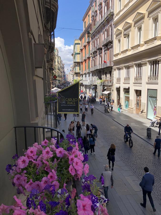 Suite Gallery Street view