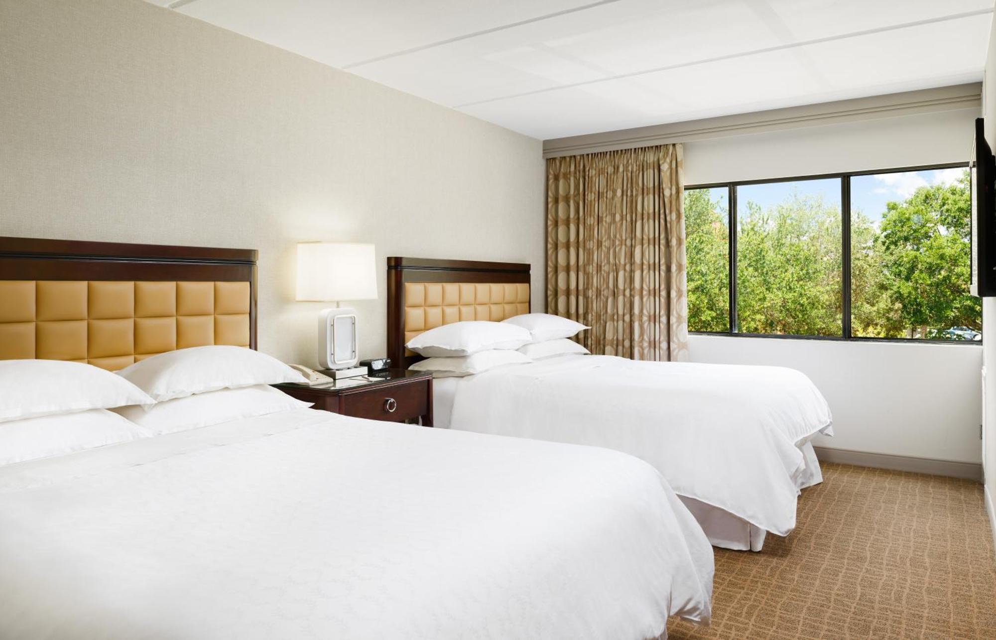 1 Bedroom Suite, 2 Queen, Sofa bed