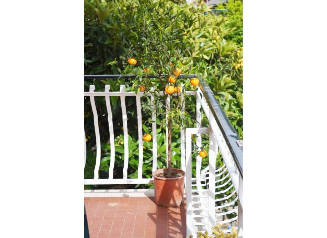 Double or Twin Room Balcony