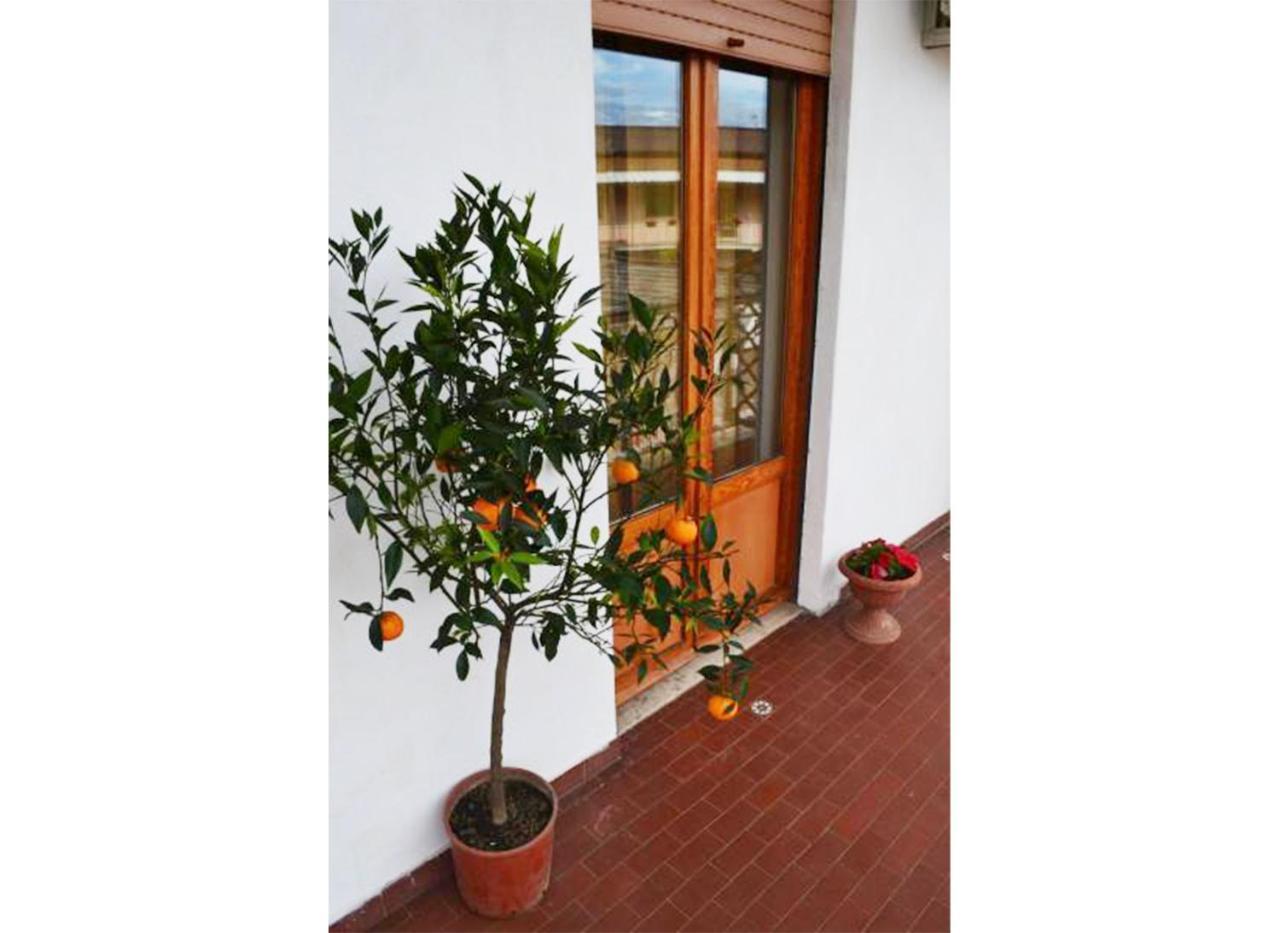 Double or Twin Room Balcony